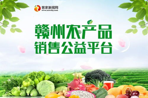 手持長槍短炮，融入疫線農產品 記錄與守護的希望瞬間